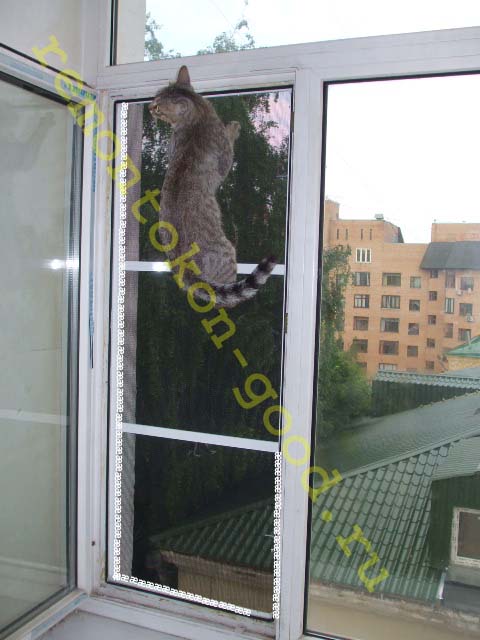 Сетки Антикошка PetGuard-люкс с кошкой