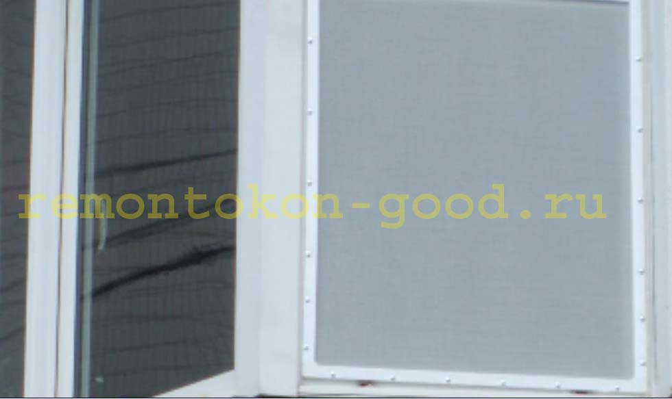 Саморезы по периметру сетки PetGuard-econom
